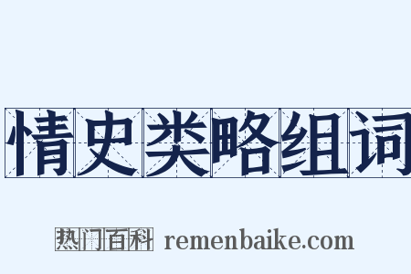 情史类略组词是什么意思的图片